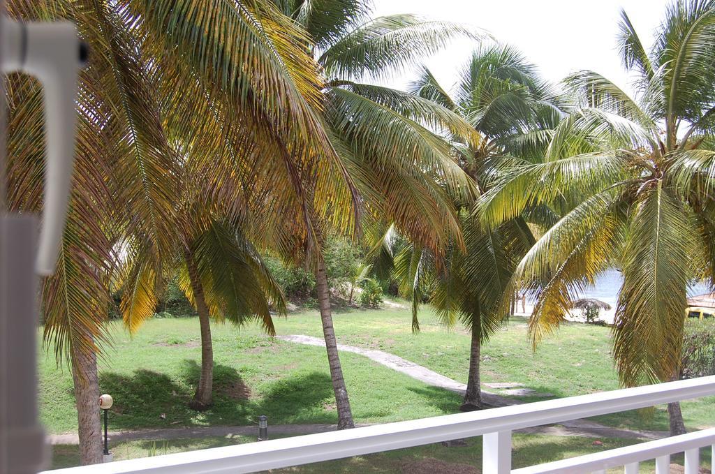 Iguana Studio Vue Mer Avec Cuve Saint-Francois  Exterior photo
